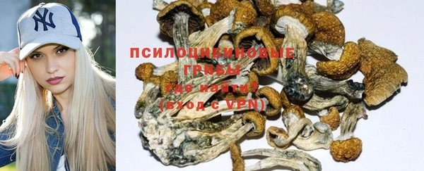 спайс Беслан