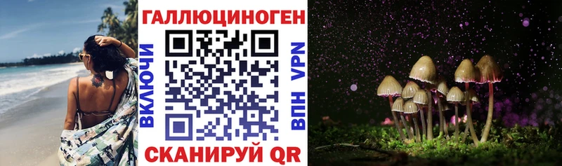 Псилоцибиновые грибы Cubensis  Купить где  Михайлов 